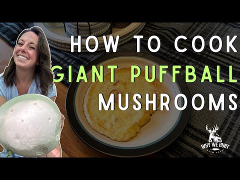 How to Cook Giant Puffball Mushrooms | Why We Hunt