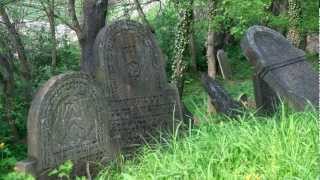 preview picture of video 'Nagrobki na cmentarzu żydowskim'