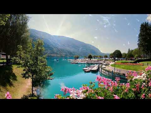 #zenmusic ##relaxingmusic #meditationmusic #relaxation #sleep #music #healingmusic #binauralbeats