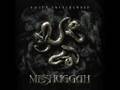 Meshuggah - Autonomy Lost / Disenchantment