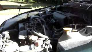 Mavericks - The Losing Side of Me