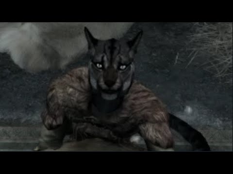 Stealing from the Khajiit