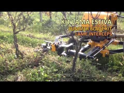 SCALZATORE POSTERIORE SINGOLO VEGA - ORIZZONTI S.R.L