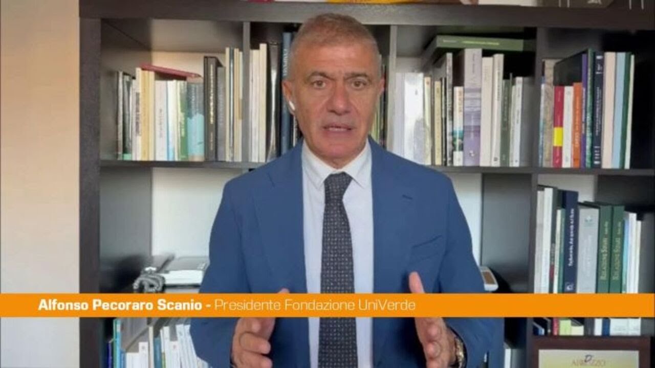 Ponte sullo Stretto, Pecoraro Scanio "Basta sprechi, Governo ritiri il progetto"