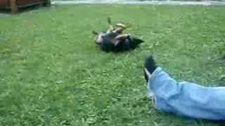 Download lagu Horie Yui - Love Destiny (We are the best XDD) mp3 Download lagu Horie Yui - Love Destiny (We are the best XDD) mp3