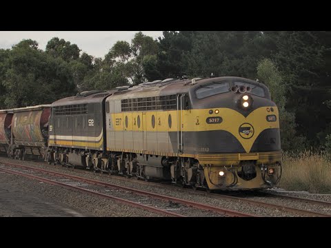 Great Horn Show 9196 SSR Grain Train With S317 & S312 Seen Here At Meredith (15/2/23)