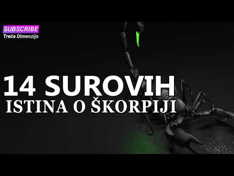 14 SUROVIH ISTINA O ŠKORPIJI: I nemojte sutra reći kako vas nismo upozorili