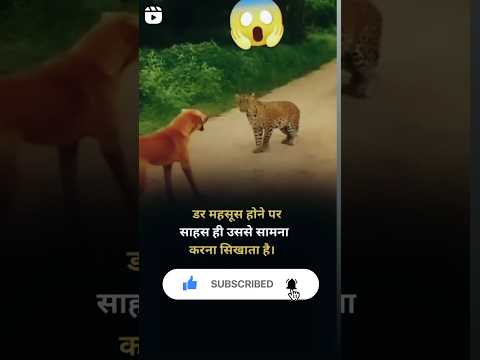 🔥💫signa_rule❤️‍🔥🙏#motivation#motivationshayari#motivational#motivationspeech#emotional#status#shorts