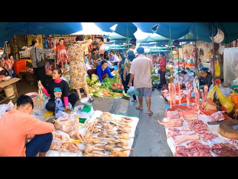 Cambodian Wet Food Market Scenes in Phnom Penh - Fish, Chicken, Pork, Lobster, Vegetable & More