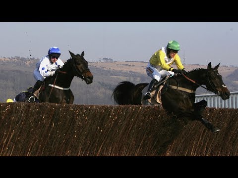 Newmill: At home with the champion chaser