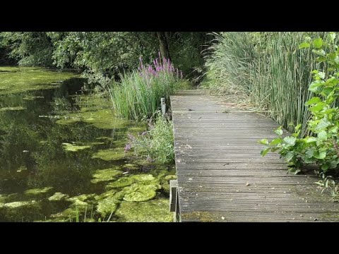 1264 Susteren Limburg, NL 11 km