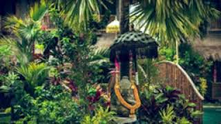 Download lagu Bali Ambiance _ Relaxing Balinese Gamelan Music And Piano mp3 Download lagu Bali Ambiance _ Relaxing Balinese Gamelan Music And Piano mp3