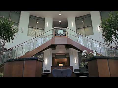 Cotton Incorporated: The Fabric of Innovation | Golden Age