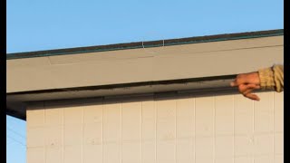 Download lagu Project Bro Next Door _ Day 7 _ Clone stamp tool _ Photoshop Tutorial mp3 Download lagu Project Bro Next Door _ Day 7 _ Clone stamp tool _ Photoshop Tutorial mp3