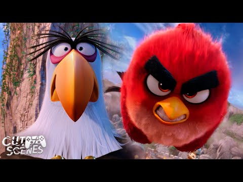 Red’s Risky Plan to Stop the Pigs 🐷🔥 | The Angry Birds Movie