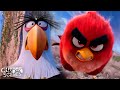 Red S Risky Plan To Stop The Pigs The Angry Birds Movie