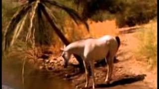 Candlebox - 10,000 Horses.mp4