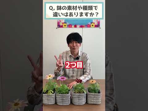日当たりの良い鉢植え：熱波に強い13種からお選びください  庭園
