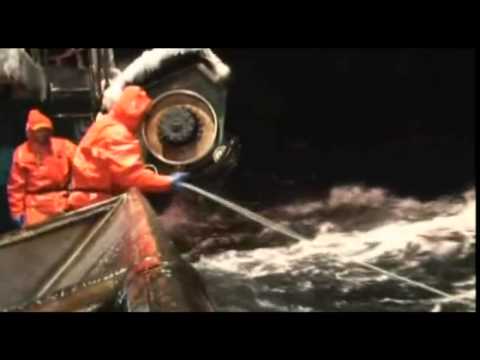 James Crandall,  My War Diary