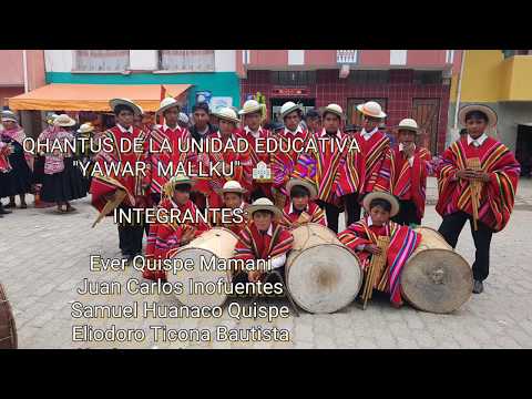 QHANTUS DE LA UNIDAD EDUCATIVA YAWAR MALLKU, "SANTA ROSA DE CAATA" - PROVINCIA BAUTISTA SAAVEDRA
