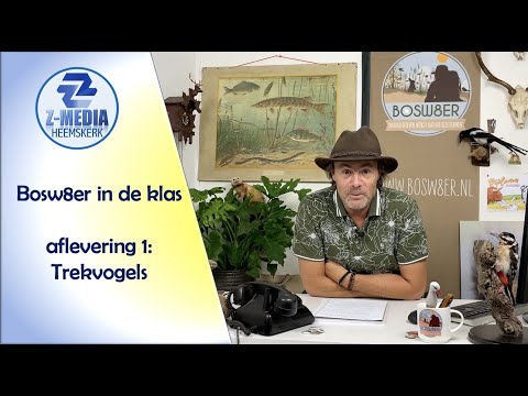 Bosw8er in de klas: Weetjes over trekvogels (aflevering 1)