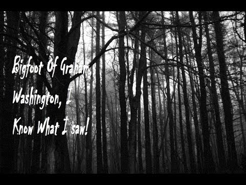 Bigfoot Encounter In Graham Washington. Ep.11