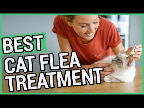 Best Flea Treatment For Cats | 5 Best Cat Flea Treatments 2021 🐱 ✅