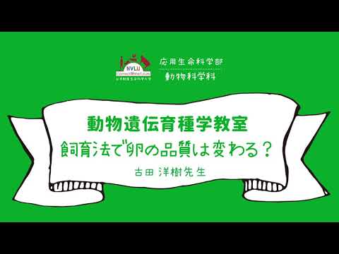 動物科学科 飼育法で卵の品質は変わる？【日本獣医生命科学大学 応用生命科学部 １分動画 動物遺伝育種学教室】