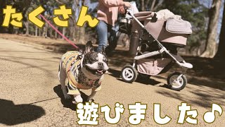 久しぶりの代々木公園に大満足でした✨