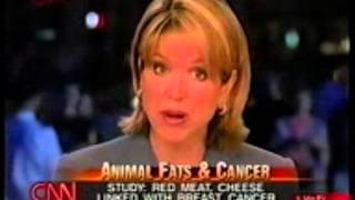 ICE-CREAM is linked to CANCER. Milk,Saturated Fat,Eggs,Butter,Paleo,Red Meat,Non-Vegan Diet all Bad