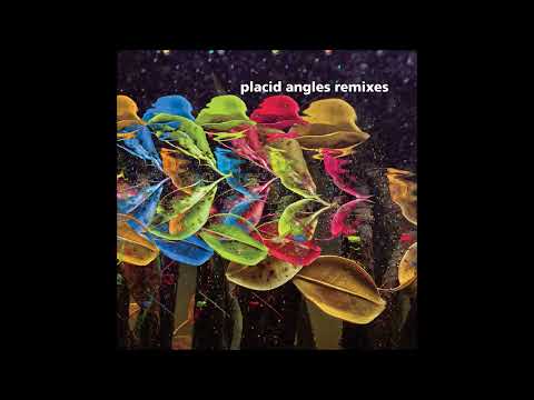 Placid Angles - Sun (Placid Angles Bonus Track) [FIGURELP09]