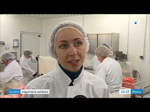 La légumerie solidaire de Wittenheim