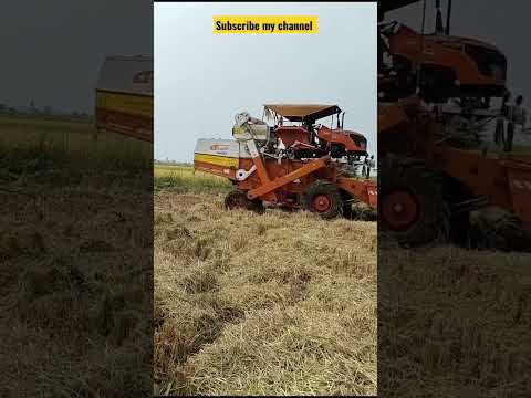Kubota Harvesting| Harvester Videos | Kubota Stunts #youtubeshorts #shorts #viralvideo #trending