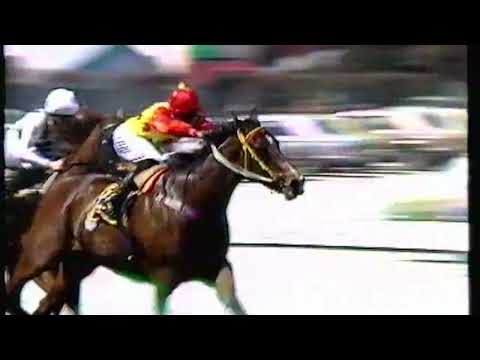1989 Moir Stakes