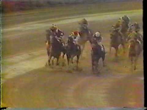 Forego Retirement Tribute