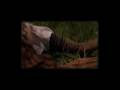 Devil's Playground - Mike Bruce Films Devil's Playground