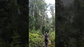 Download lagu memikat konin yang susah turun degan mudah#shorts mp3