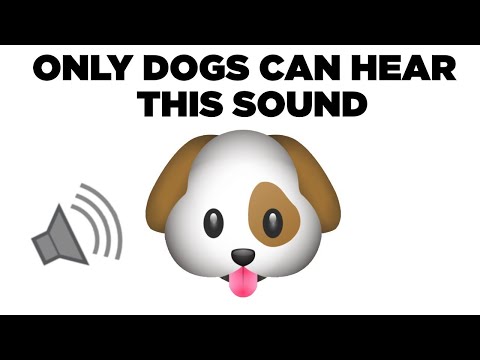 Only Dogs Can Hear This Sound