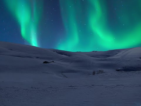 Prelude to a Kiss - Francesco Benini