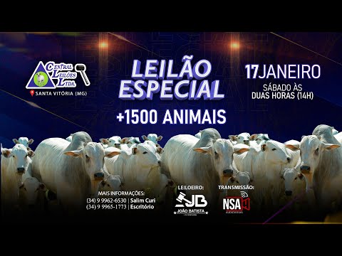 🌾  Leilão Especial Carga Fechada  - Central Leilões - Santa Vitória (MG) - 17 de JANEIRO