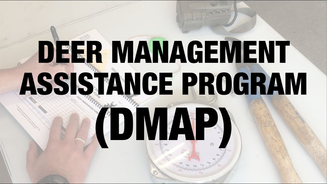 The Deer Management Assistance Program (DMAP): What It Is and Why You Should Be Involved