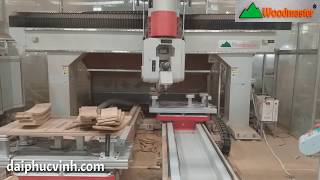 MÁY CNC 3D 5 Trục 2 Bàn Thay Dao tự động tốt nhất thị trường
