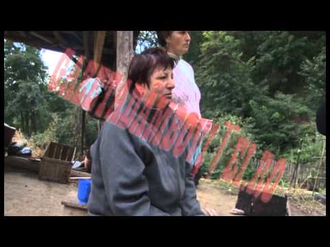 ATACATI DE URS IN CURTEA PROPRIE LA VARFURI