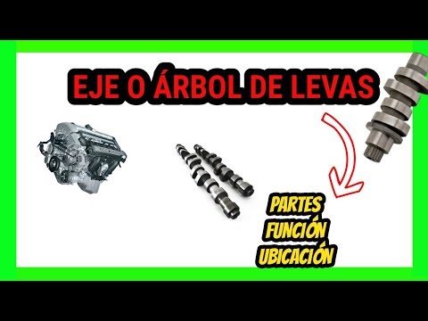 download lagu mp3 mp4 Partes Del Arbol De Levas, download lagu Partes Del Arbol De Levas gratis, unduh video klip Partes Del Arbol De Levas