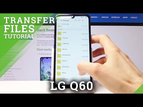 How to Transfer Files from LG Q60 – Move Data