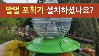 말벌 포획기는 설치 하셨나요?