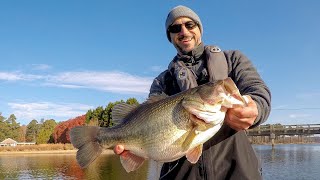 GIANT Winter Bass & a SURPRISE MONSTER FISH Takes Me For a Ride!!!