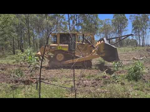 DOZER D6T BIO CLEAR GRIND RAKE SPEER TREE CLEARING