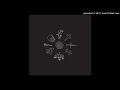 Swans-Will We Survive