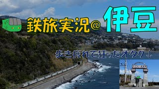 【 鉄道旅 ゆっくり実況 】フリーきっぷで行こう#26 (青春18きっぷ編#19)　海を眺めに伊豆急へ
